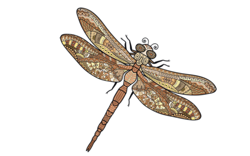 A dragonfly with intricate brown and tan patterned wings.