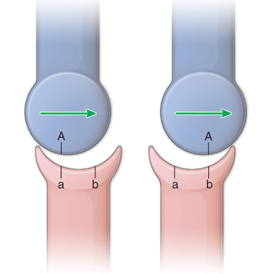 Two ball and socket joints and their ends labeled, showing glide or shift to the right.