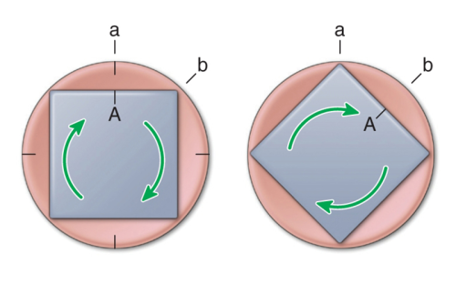 A square spinning within a circle, and a second square within a circle spun a further 90 degrees.