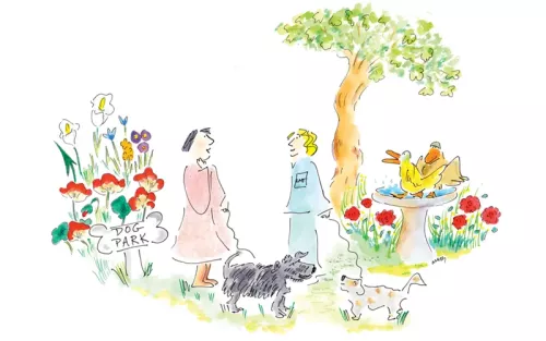 Illustration of two people and two dogs chatting in a dog park near a bird fountain.