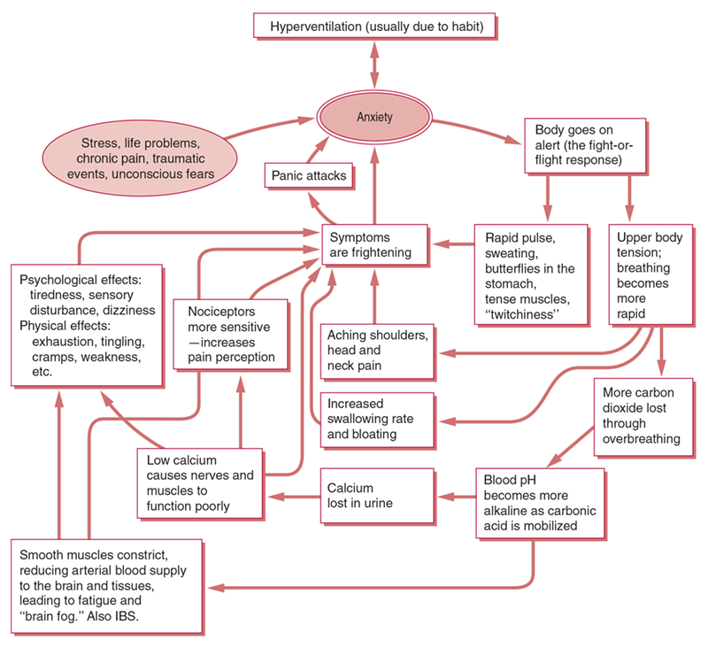 The full BPD Assessment questionnaire, in the form of a flowchart, with the start/end outcomes as stress, anxiety, and hyperventilation. 