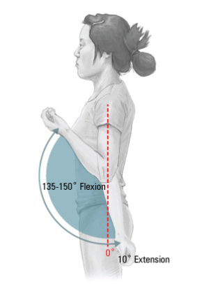 Normal elbow range of motion.