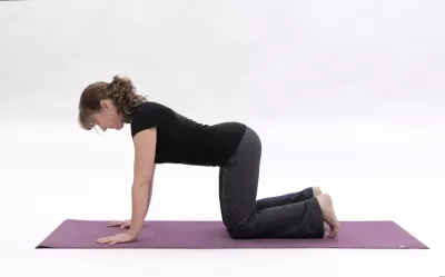 A woman in tabletop yoga position, hands and knees flat on the mat, bent at 90 degrees.