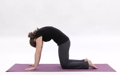 A woman with hands and knees and feet on her yoga mat, arching her back and dropping her chin.