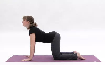 A woman with her hands and knees on a yoga mat, head and chest and sit bones up, belly dropped.