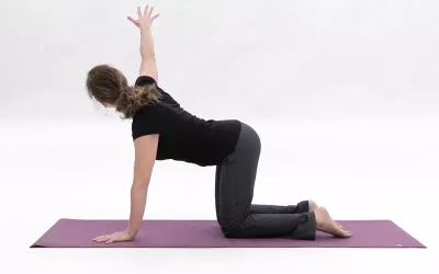 A woman in tabletop position lifts one arm up and out away from her body.