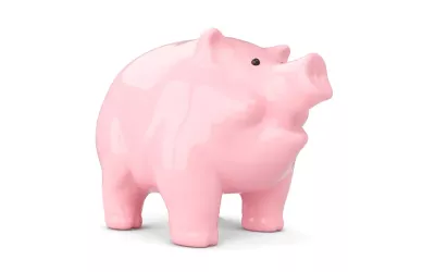A pink piggy bank.