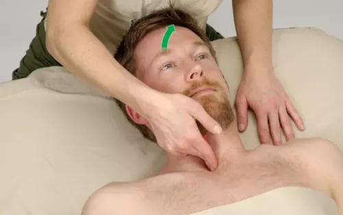 A therapist palpates the longus colli muscle in a client's neck.
