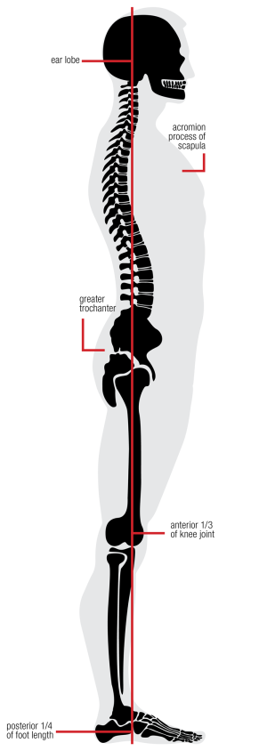 standing postural assessment test: assest the foot length, front of knee joint, greater trochanter, scapula, head and neck.