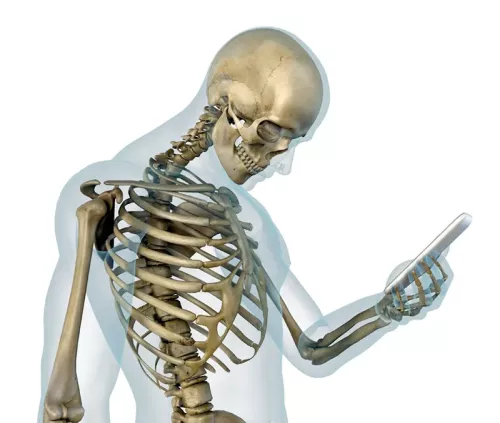 A skeleton with forward-head posture, chin tucked, looking at a smartphone.