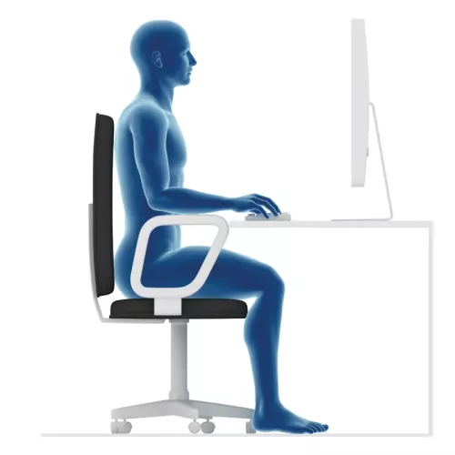 A 3D computer generated figure sitting at a computer desk with straight posture.