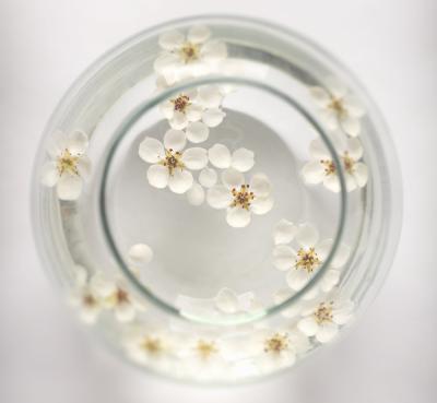 White flowers floating in a clear jar of water.