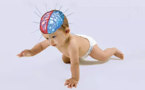 A baby crawling on all fours, the right brain colored in red and left brain colored in blue.