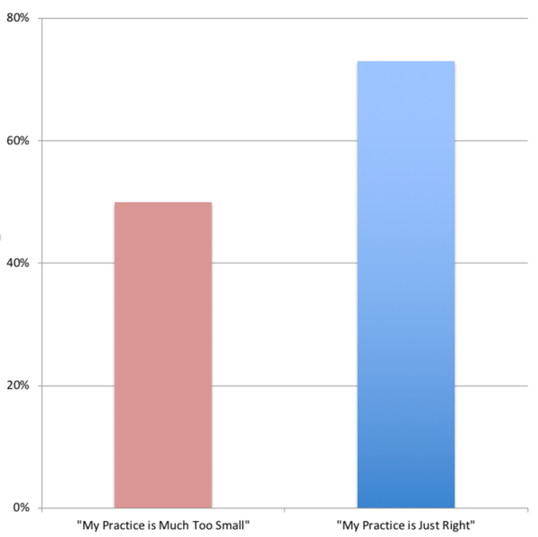 A bar chart with percentages from 0-80%, showing what MTs think about the size of their practice and its correlation to if their work is valued.