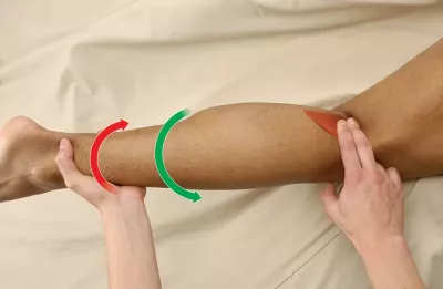 an MT working with the Popliteus muscle.