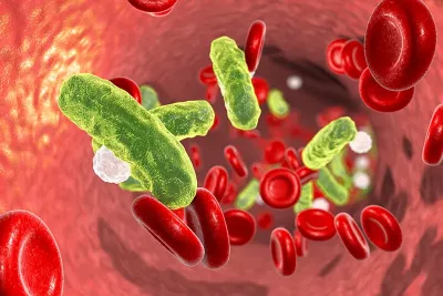 green bacteria floating around red and white blood cells in the body.