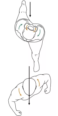 Aerial view of what happens when you twist at the sacrum to your spine, pelvis, and body movement.