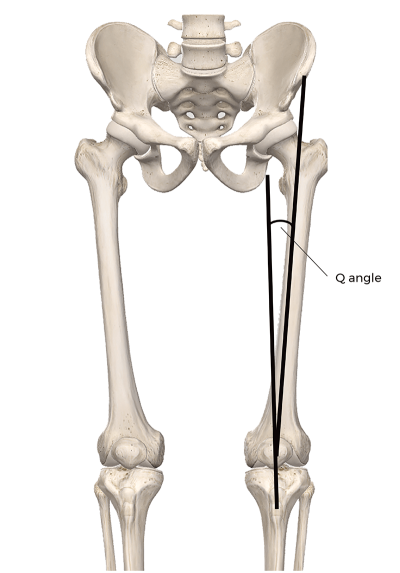 The Q angle or quadriceps angle is formed by imaginary lines that connect bony landmarks from the midpoint of the patella to the superior iliac spine.