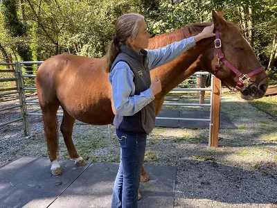 Kim Bauer with a brown horse.