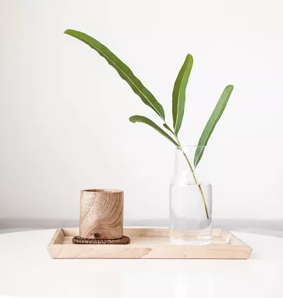 A display of a plant branch in a glass of water on a small, beige tray.