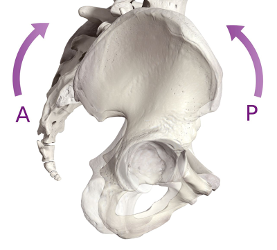 lateral view image of the ilia rotating 10 degrees anterior or posterior from center.