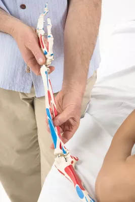 A massage therapist grips the arm of a skeleton.