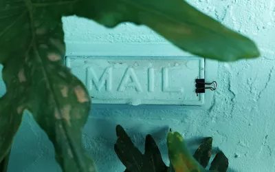 A mail slot is in a wall, hidden behind the leaves of a plant.