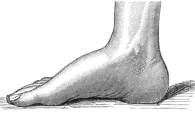 Sketch of a human foot.